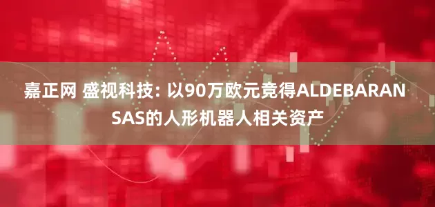嘉正网 盛视科技: 以90万欧元竞得ALDEBARAN SAS的人形机器人相关资产