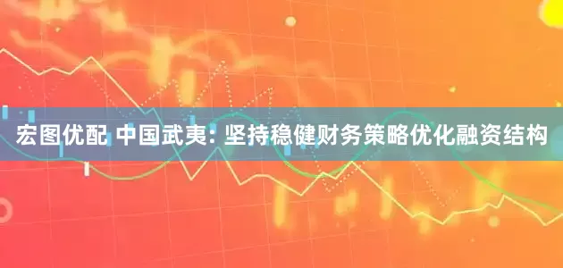 宏图优配 中国武夷: 坚持稳健财务策略优化融资结构