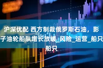 沪深优配 西方制裁俄罗斯石油，影子油轮船队增长放缓_风险_运营_船只