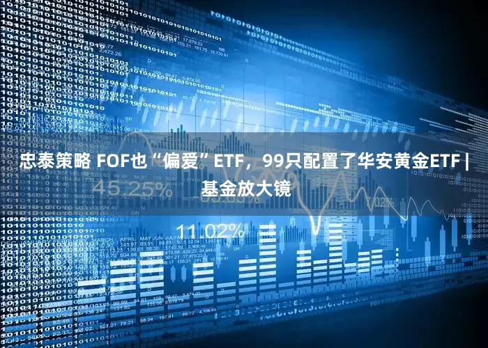忠泰策略 FOF也“偏爱”ETF,99只配置了华安黄金ETF | 基金放大镜