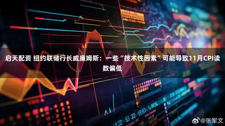 启天配资 纽约联储行长威廉姆斯：一些“技术性因素”可能导致11月CPI读数偏低